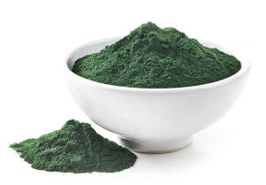Chlorella