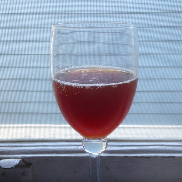 kombucha