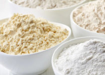 vegan protein
