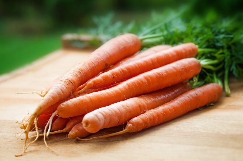 mrkev, zdroj vitamínu A